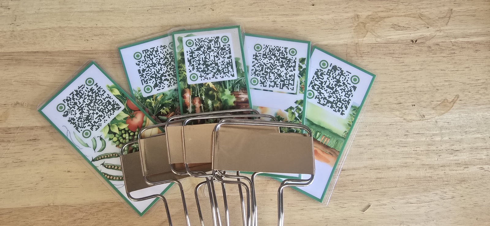 Real LetsGrowSeeds label cards shown with included display clips.